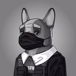 Bohemian Bulldog #8919