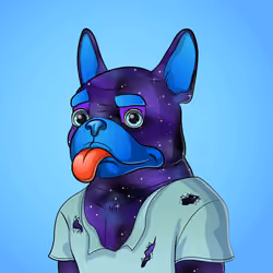 Bohemian Bulldog #8596