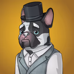 Bohemian Bulldog #5676