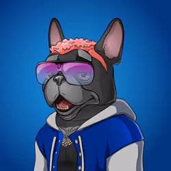 Bohemian Bulldog #7677