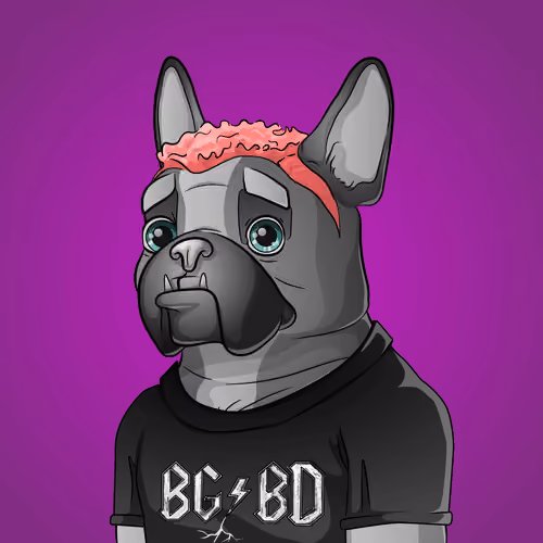 Bohemian Bulldog #9237