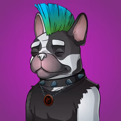 Bohemian Bulldog #9635