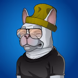 Bohemian Bulldog #2713
