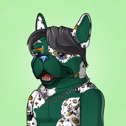 Bohemian Bulldog #7479