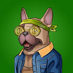 Bohemian Bulldog #7065