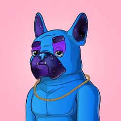 Bohemian Bulldog #3898