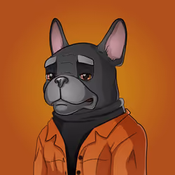 Bohemian Bulldog #320