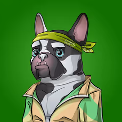 Bohemian Bulldog #5710