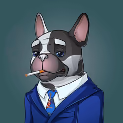 Bohemian Bulldog #9374