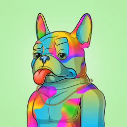 Bohemian Bulldog #5917