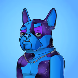 Bohemian Bulldog #3762