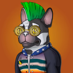 Bohemian Bulldog #3990