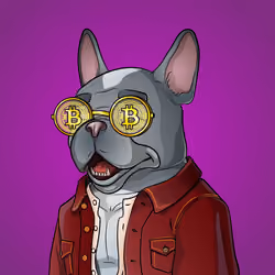 Bohemian Bulldog #3321