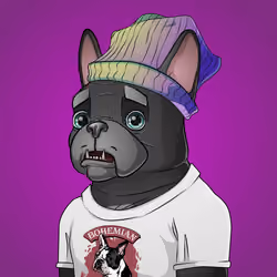 Bohemian Bulldog #3042