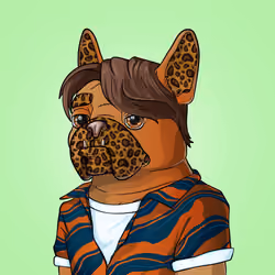Bohemian Bulldog #596