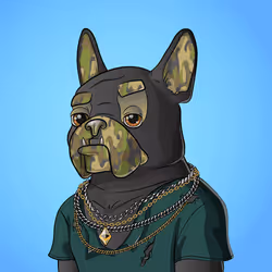 Bohemian Bulldog #7784