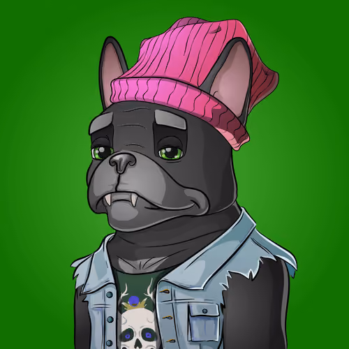 Bohemian Bulldog #2701