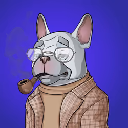 Bohemian Bulldog #888