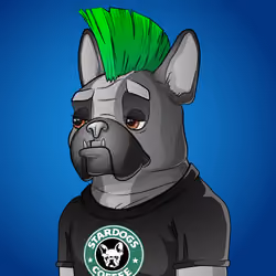 Bohemian Bulldog #1626