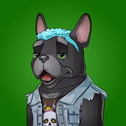 Bohemian Bulldog #2899