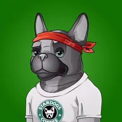 Bohemian Bulldog #1720