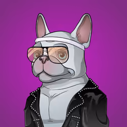 Bohemian Bulldog #2530