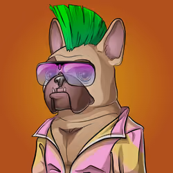 Bohemian Bulldog #236