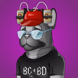 Bohemian Bulldog #5619