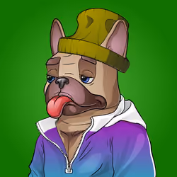 Bohemian Bulldog #3952
