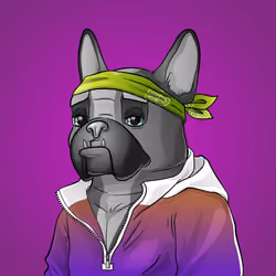 Bohemian Bulldog #8595