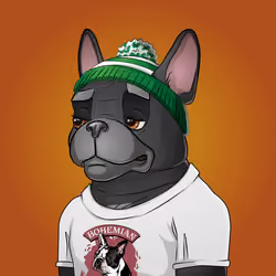 Bohemian Bulldog #5763