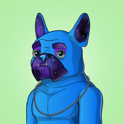 Bohemian Bulldog #8535