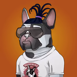 Bohemian Bulldog #8556