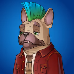 Bohemian Bulldog #5677