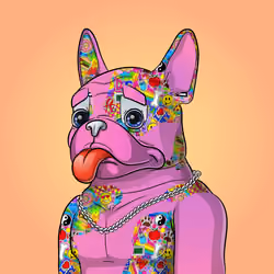 Bohemian Bulldog #2390