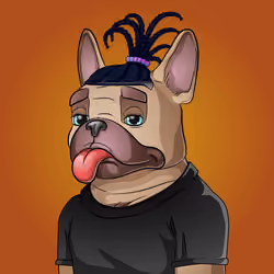 Bohemian Bulldog #6047