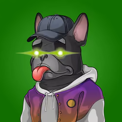 Bohemian Bulldog #4193