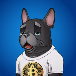 Bohemian Bulldog #5518