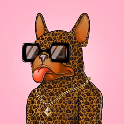 Bohemian Bulldog #3424