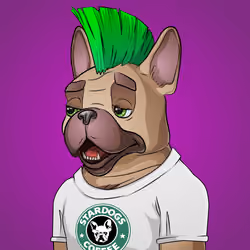 Bohemian Bulldog #5765