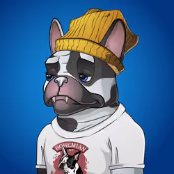 Bohemian Bulldog #9725