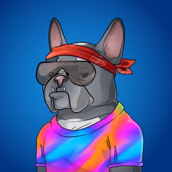 Bohemian Bulldog #7282