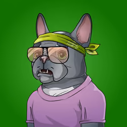 Bohemian Bulldog #2409