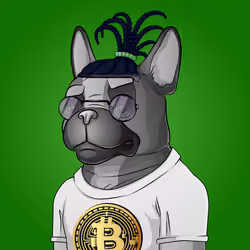 Bohemian Bulldog #3432