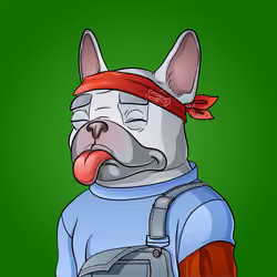 Bohemian Bulldog #5209