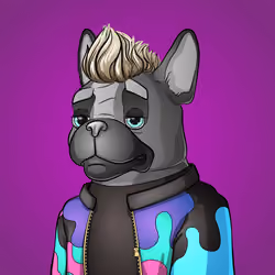 Bohemian Bulldog #9384