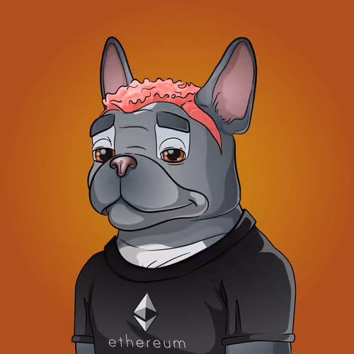Bohemian Bulldog #4382