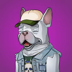 Bohemian Bulldog #3787