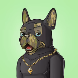 Bohemian Bulldog #3914