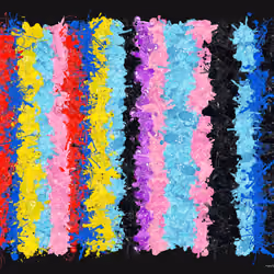 Rug #309